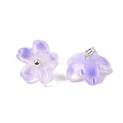 Glass Charms&nbsp;GLAA-G127-05