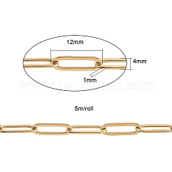 304 Stainless Steel Paperclip Chains&nbsp;CHS-CJ0001-02G
