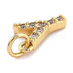 Brass Micro Pave Grade AAA Cubic Zirconia Charms&nbsp;ZIRC-P067-11G-Y-NR