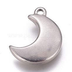 Tarnish Resistant 304 Stainless Steel Charms&nbsp;X-STAS-H119-04P