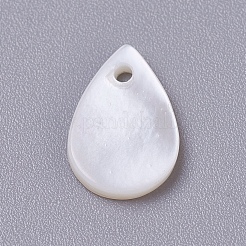 Shell Pendants&nbsp;SSHEL-TAC0001-06B