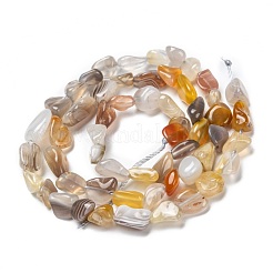 Natural Botswana Agate Beads Strands&nbsp;G-G018-26