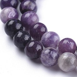 Natural Lepidolite/Purple Mica Stone Beads Strands&nbsp;G-K415-10mm
