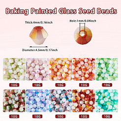 100G 10 Colors Baking Paint Glass Seed Beads&nbsp;SEED-TA0001-48