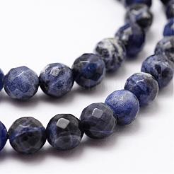 Natural Sodalite Beads Strands&nbsp;G-D840-19-8mm