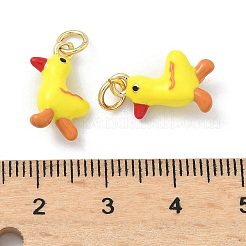 Brass Pendants&nbsp;KK-H537-09G