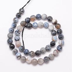 Natural Fire Crackle Agate Bead Strands&nbsp;G-K166-07F-8mm-05