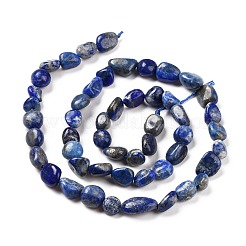 Natural Lapis Lazuli Beads Strands&nbsp;G-F575-01F