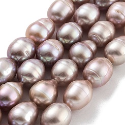 Natural Cultured Freshwater Pearl Beads Strands &nbsp;PEAR-P062-13F