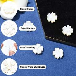 5Pcs Natural White Shell Beads&nbsp;BSHE-CJ0001-11