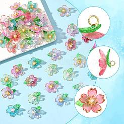70Pcs Transparent Acrylic Pendants&nbsp;PALLOY-FS00050