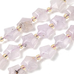 Natural Amethyst Beads Strands&nbsp;G-Z080-A29-10mm