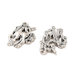 Tibetan Style Alloy Pendants&nbsp;FIND-C043-009AS