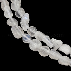 Natural Rainbow Moonstone Beads Strands&nbsp;G-Q060-D12