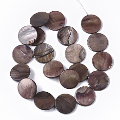 Freshwater Shell Beads Strands&nbsp;SHEL-T014-011