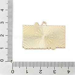 Sports Alloy Enamel Pendants&nbsp;ENAM-I074-01G-06