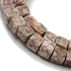 Natural Maifanite Beads Strands&nbsp;G-F631-K26