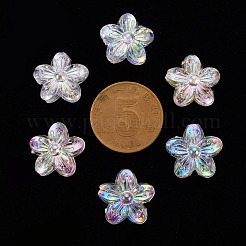 Transparent Acrylic Beads&nbsp;TACR-S154-45C-205