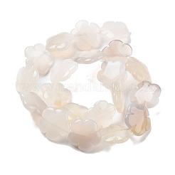 Natural White Agate Beads Strands&nbsp;G-F769-G01-02