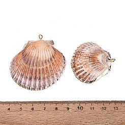Electroplate Natural Scallop Shell Big Pendants&nbsp;SSHEL-Q100-19KCG