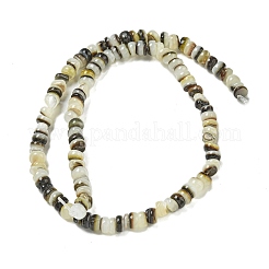 Natural Black Lip Shell Beads Strands&nbsp;BSHE-G039-02