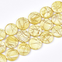 Freshwater Shell Beads Strands&nbsp;SHEL-S274-62