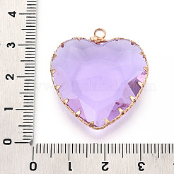 Transparent Glass Pendants&nbsp;KK-N283-01H-G