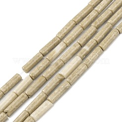 Natural Petrified Wood Beads Strands&nbsp;G-F247-49