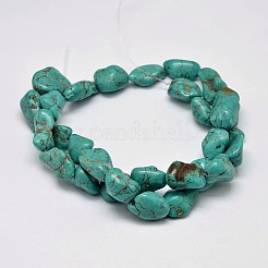 Dyed Nuggets Natural Howlite Beads Strands&nbsp;G-M139-11-A