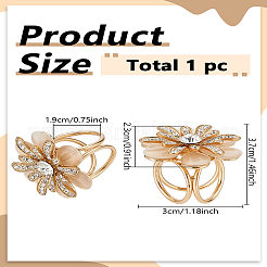 1Pc Alloy Rhinestone Women Lady Girls Fashion Scarf Ring Buckle&nbsp;AJEW-LP0010-62