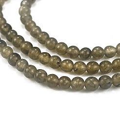 Natural Labradorite Beads Strands&nbsp;G-M438-A01-01