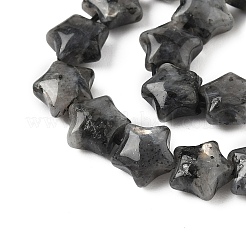 Natural Larvikite Star Beads Strands&nbsp;G-Z080-A03