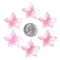 Transparent Acrylic Beads&nbsp;MACR-S373-102-C01
