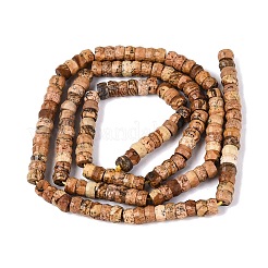 Natural Picture Jasper Beads Strands&nbsp;LS-G-Q606-46A-14