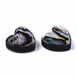 Natural Abalone Shell/Paua Shell Beads&nbsp;SSHEL-T014-15
