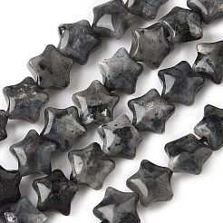 Natural Larvikite Star Beads Strands&nbsp;G-Z080-A03