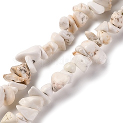 Magnesite Chip Bead Strands&nbsp;G-M205-75