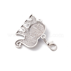 Resin Pendant Docorations&nbsp;HJEW-JM03704