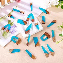 20Pcs 10 Styles Resin & Wood Pendants&nbsp;WOOD-TA0002-67C