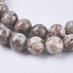 Natural Maifanite/Maifan Stone Beads Strands&nbsp;G-I187-8mm-01
