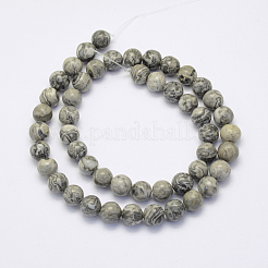 Natural Map Stone/Picasso Stone/Picasso Jasper Beads Strands&nbsp;G-G697-F03-6mm