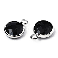 K9 Glass Charms&nbsp;GLAA-N038-22-02P
