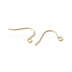 316 Surgical Stainless Steel Earring Hooks&nbsp;STAS-Z124-02C-G