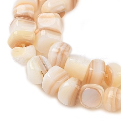 Natural White Shell Beads Strands&nbsp;SSHEL-F304-02B
