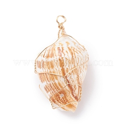 Natural Conch Shell Big Pendants&nbsp;PALLOY-JF01204