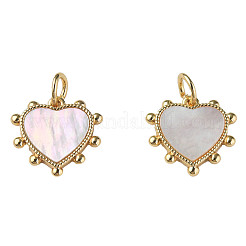 Natural Shell Charms&nbsp;X-KK-N233-210