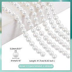 2 Strands Natural White Shell Beads Strands&nbsp;SHEL-GA0001-19B
