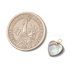 Natural Paua Shell Charms&nbsp;PALLOY-JF05129-03