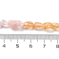Natural Rose Quartz & Citrine Beads Strands&nbsp;G-L610-B10-01
