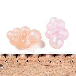 Transparent Acrylic Beads&nbsp;OACR-Z013-02B